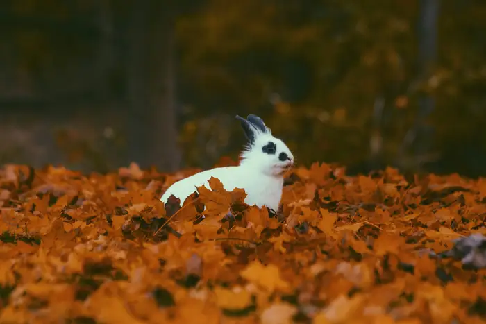 Otoño