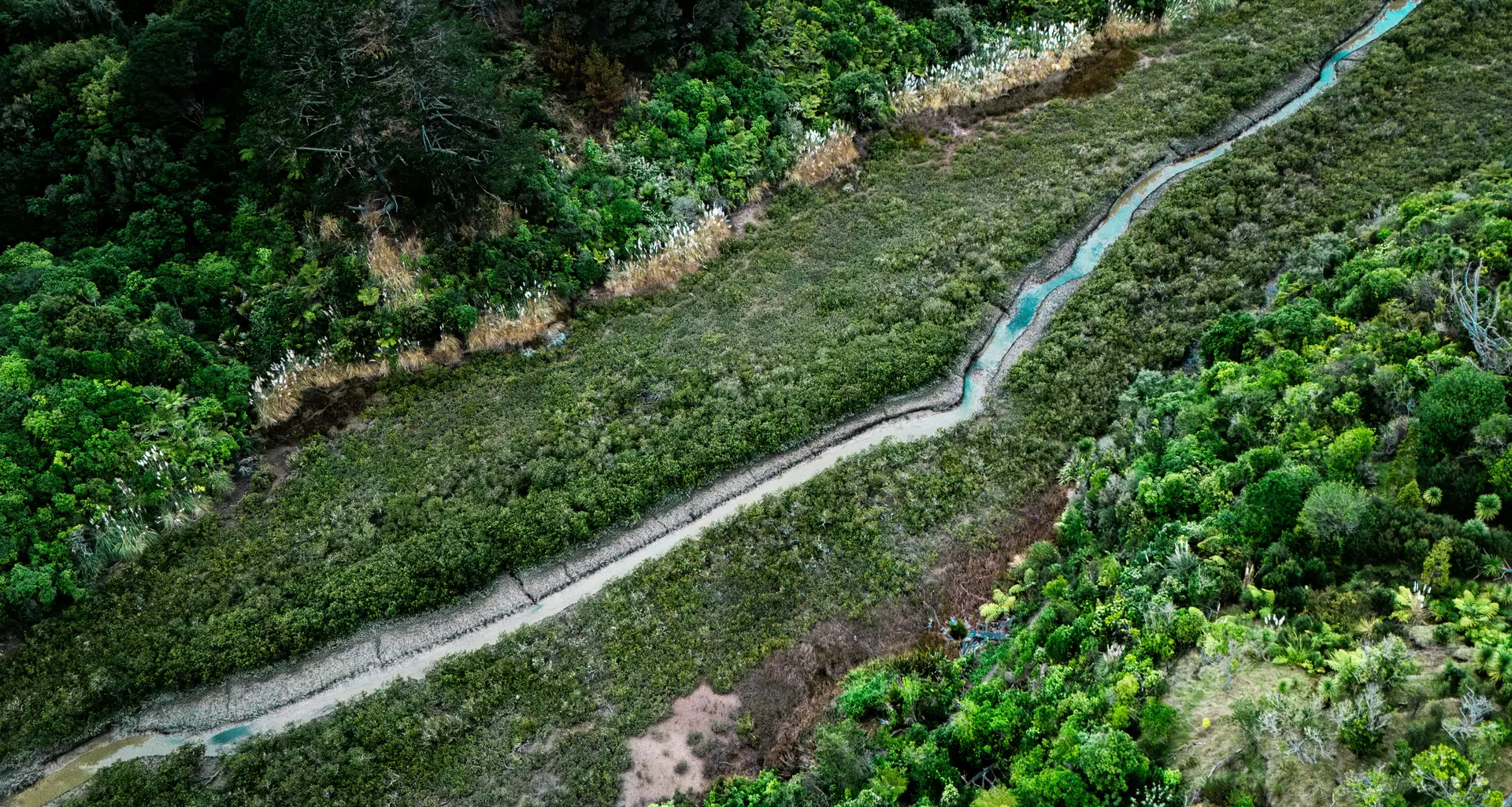 Mantenimiento de jardines