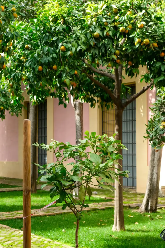 Proyecto de jardinería